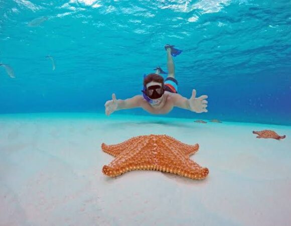 Cozumel Catamaran Snorkeling Tour & Lunch