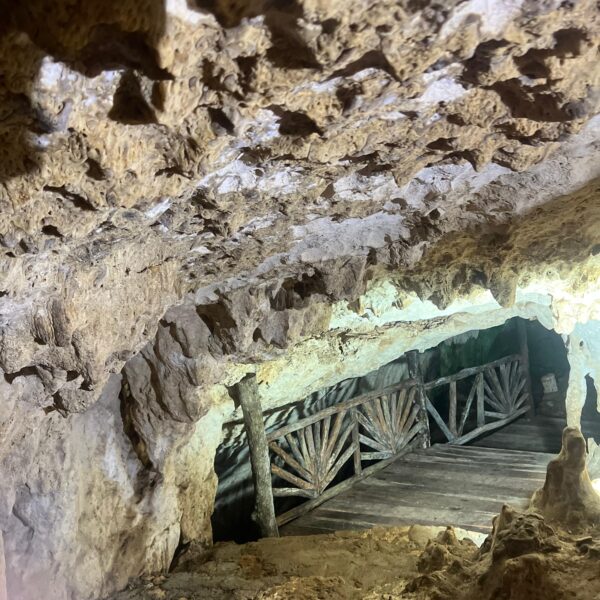 PHOTO-2025-07-22-14-00-06(2)