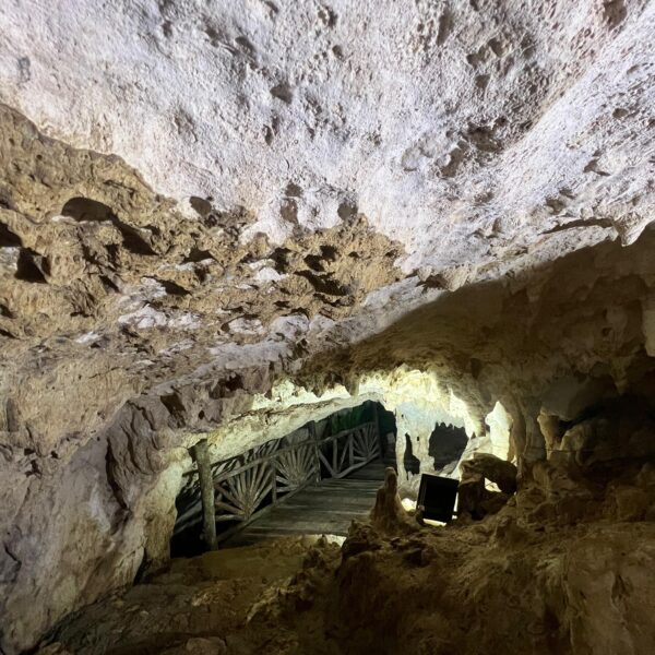 PHOTO-2025-07-22-14-00-06(4)